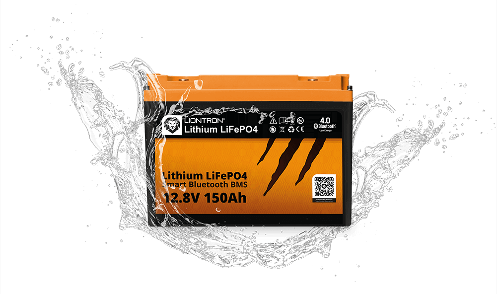 Liontron Marine Batterie wide